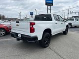 Used 2023 Chevrolet Silverado 1500 W/T w/ Police Pursuit Package image 5