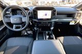New 2025 Ford F150 STX w/ STX Black Appearance Package image 5