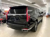 Used 2023 Cadillac Escalade ESV Premium Luxury w/ LPO, Illumination Package image 5