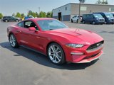 Certified 2023 Ford Mustang Premium w/ Equipment Group 201A image 2