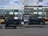 New 2025 Ford F150 XLT w/ Equipment Group 303A High image 3