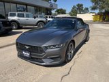 Used 2024 Ford Mustang Premium image 2