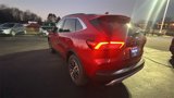 New 2025 Ford Escape SE w/ PHEV Premium Package image 4