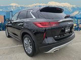 Certified 2024 INFINITI QX50 Pure image 5