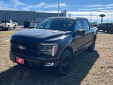 New 2025 Ford F150 Platinum w/ Equipment Group 702A High image 3