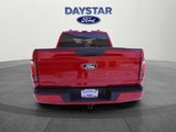 New 2025 Ford F150 STX w/ STX Black Appearance Package image 4
