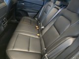 New 2025 Nissan Murano SL w/ Cargo Package image 5