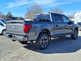 New 2025 Ford F150 STX w/ Equipment Group 200A image 5