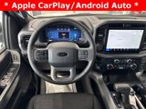 New 2025 Ford F150 XLT w/ Equipment Group 302A MID image 2