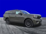 New 2025 Ford Expedition Platinum image 2