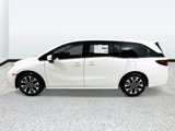 New 2026 Honda Odyssey Elite image 6