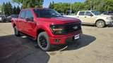 New 2025 Ford F150 XLT w/ Equipment Group 302A MID image 4