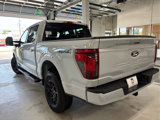 New 2025 Ford F150 XLT image 4