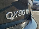 New 2025 INFINITI QX80 Pure w/ Cargo Package image 5