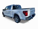 New 2025 Ford F150 XLT w/ Equipment Group 302A MID image 3