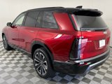 New 2026 Cadillac Vistiq Sport image 5