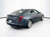 Used 2022 Cadillac CT4 Luxury w/ Sun And Sound Package image 5