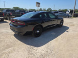 Used 2019 Dodge Charger Police w/ Convenience Group I image 3