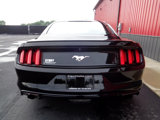 Used 2016 Ford Mustang Coupe w/ Interior & Wheel Package image 6