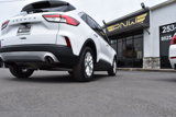 Used 2020 Ford Escape SE image 6