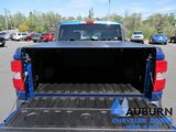 Used 2024 Ford Maverick XLT image 5