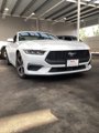 Used 2024 Ford Mustang Coupe image 4