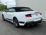 New 2025 Ford Mustang GT Premium w/ California Special Package image 3