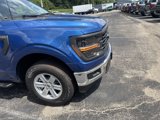 New 2025 Ford F150 XL w/ Equipment Group 103A High image 4