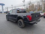 New 2025 Ford F150 XLT image 3