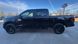 New 2025 Ford F150 STX w/ STX Black Appearance Package image 5