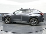 Certified 2025 Lexus NX 350h AWD w/ Premium Package image 5