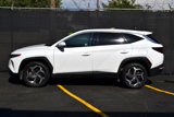 Used 2024 Hyundai Tucson Limited image 6