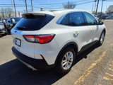 Used 2021 Ford Escape SE image 3