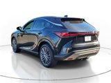 New 2025 Lexus RX 350 image 3