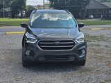 Used 2019 Ford Escape SE image 2