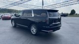 Used 2023 Cadillac Escalade ESV Premium Luxury image 4