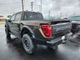 New 2025 Ford F150 Raptor image 4