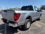 New 2025 Ford F150 XL w/ Equipment Group 103A High image 5