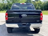 Used 2023 Ford F150 XLT image 4