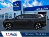 New 2026 Hyundai Ioniq 9 Calligraphy image 4