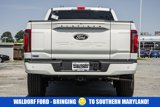New 2025 Ford F150 Platinum w/ Equipment Group 702A High image 5
