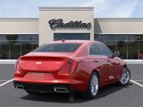 New 2025 Cadillac CT4 Luxury image 4