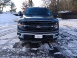 New 2025 Ford F150 XLT w/ Equipment Group 303A High image 2