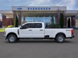 New 2024 Ford F250 XL w/ XL Chrome Package image 3