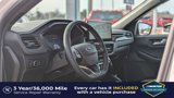 New 2025 Ford Escape ST-Line Elite image 4