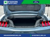 Used 2024 Ford Mustang GT Premium image 5