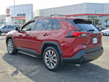 Certified 2023 Toyota RAV4 XLE Premium image 5