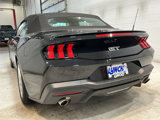 Used 2024 Ford Mustang GT image 2