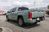 Used 2025 Toyota Tundra 1794 Edition image 5
