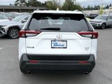 Used 2020 Toyota RAV4 XLE Premium image 5